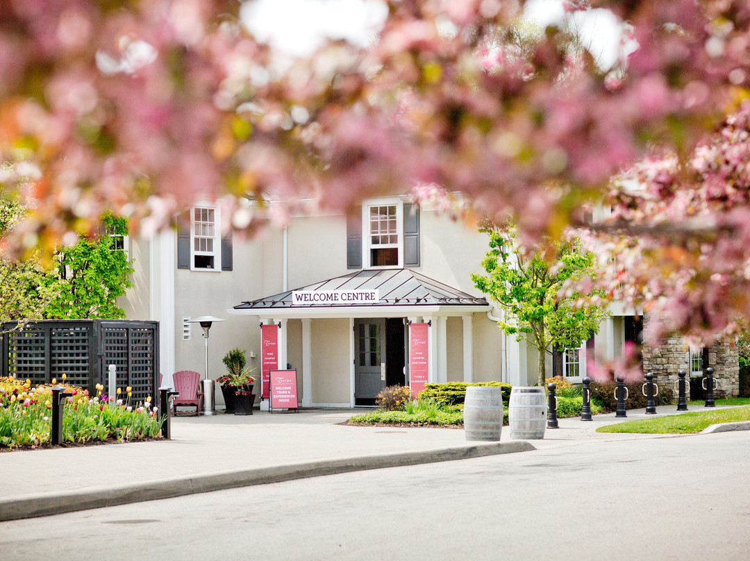 Trius Winery-滨湖尼亚加拉必去景点