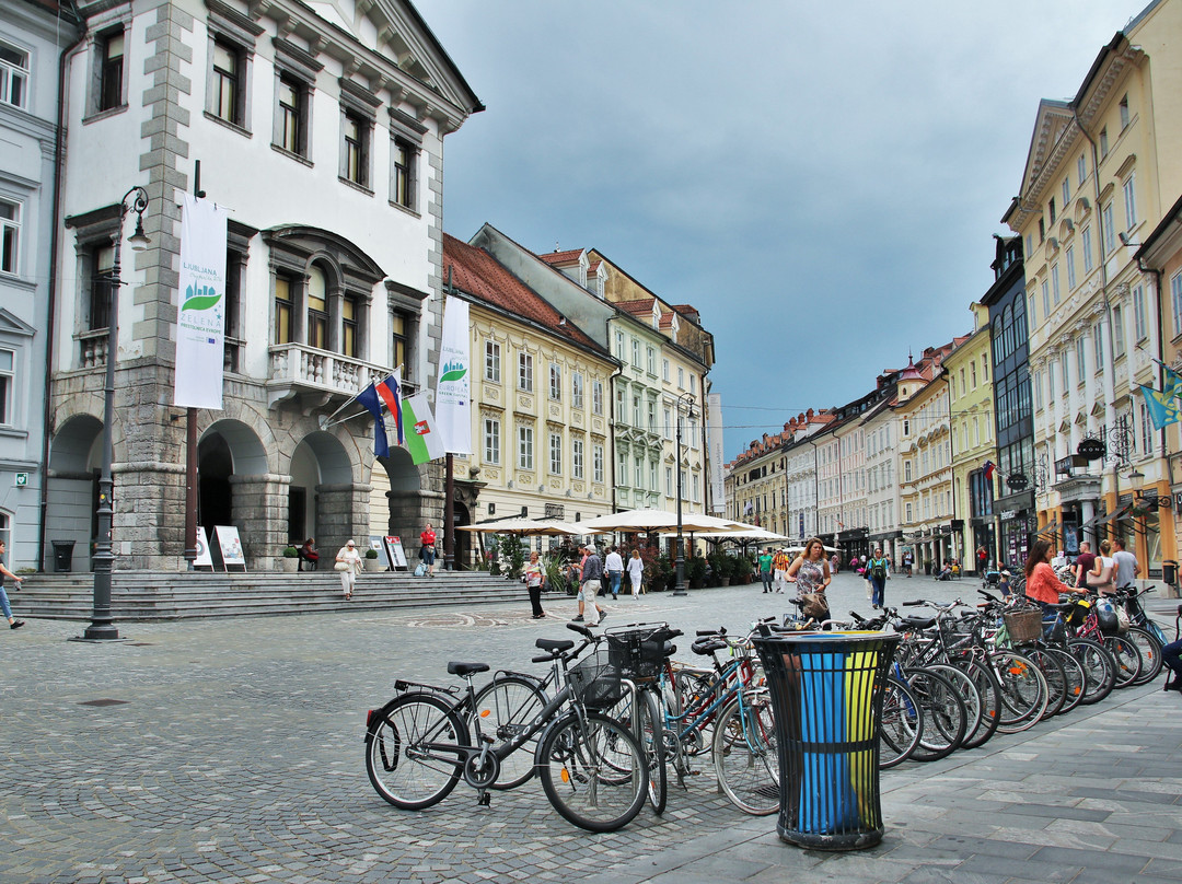 Ljubljana Walking Tour and Funicular Ride景点图片