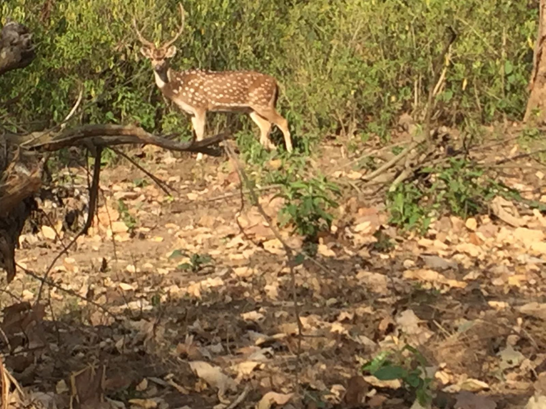 Roost Aaryan Manor主图