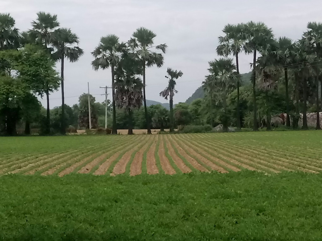 KMK Tour Guide Bagan-蒲甘必去景点