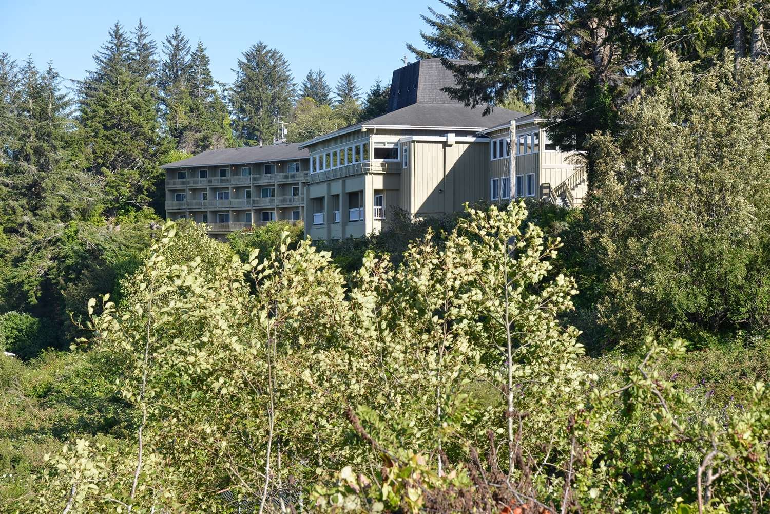 Best Western Pier Point Inn-官方