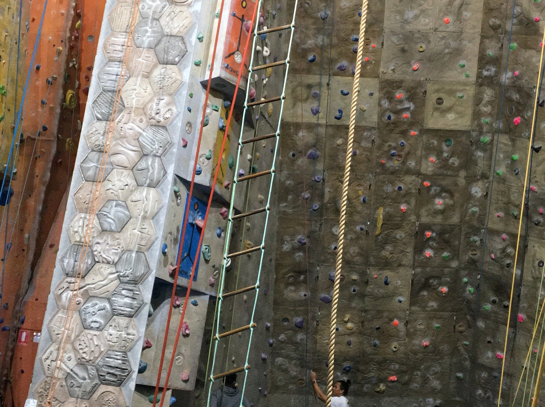 Cliffhanger Climbing Gym-阿尔托纳必去景点