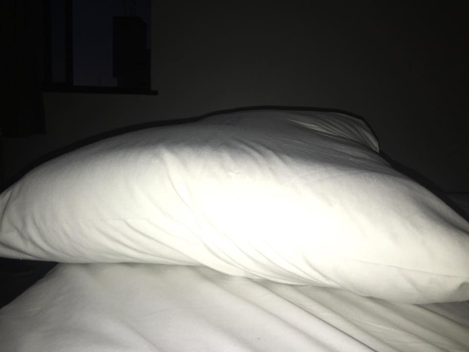 OYO Real Palace Hotel主图