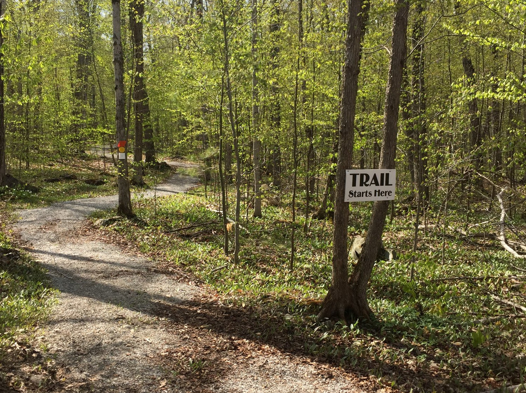 McLean's Park Trail-Manitowaning必去景点