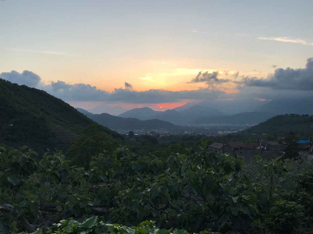 Fisciano酒店住宿-Agriturismo Barone Antonio Negri