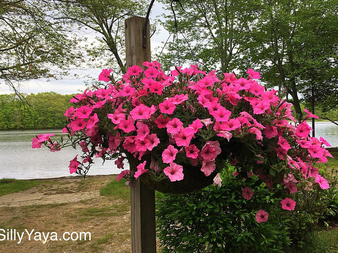 Ross Hill Rv Park & Campground-Lisbon必去景点