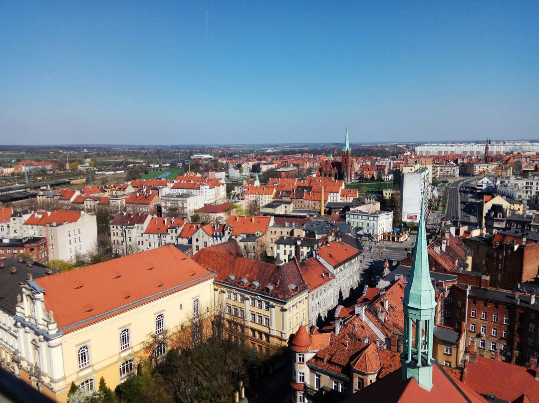Katedra Legnicka Swietych Apostołow Piotra i Pawła-Legnica必去景点