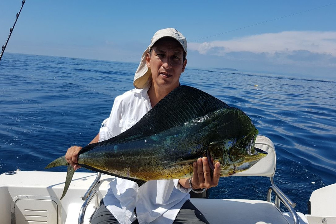 Panama Bay Tours & Fishing-巴拿马城必去景点