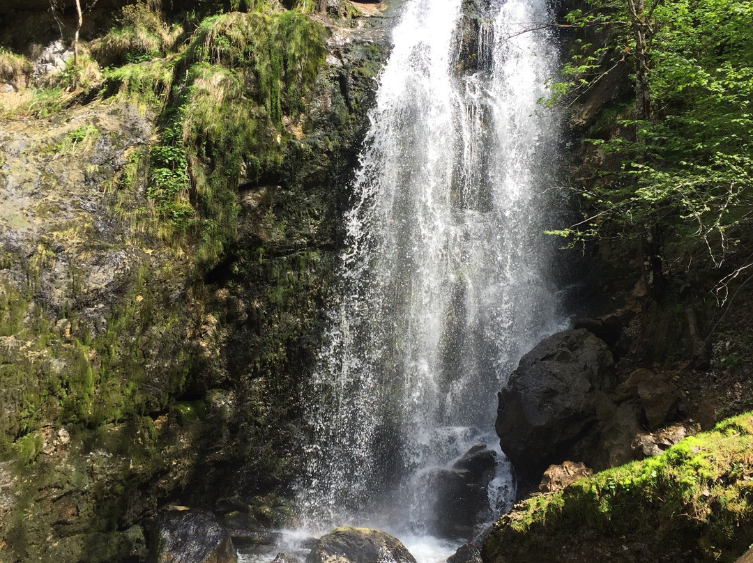 Wasserlochklamm景点图片