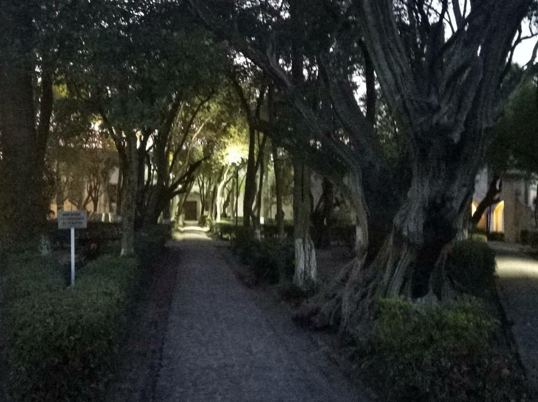 Ayenda Mesón del Río主图