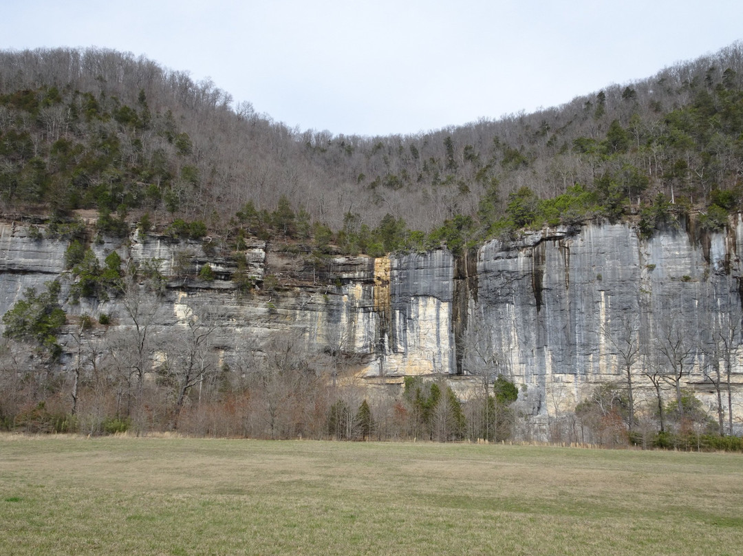 Steel Creek Campground