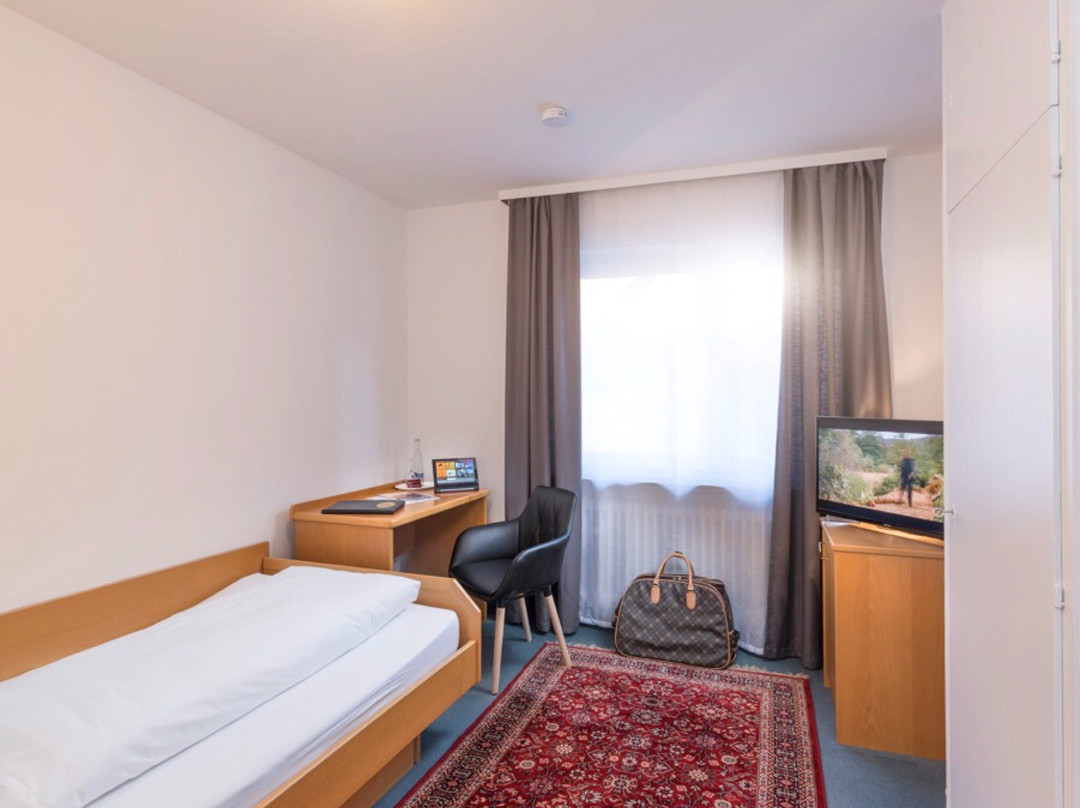 Hotel*** Restaurant Ochsen Sinzheim主图