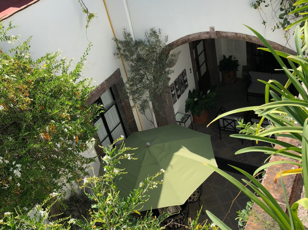 Casa de Los Olivos主图