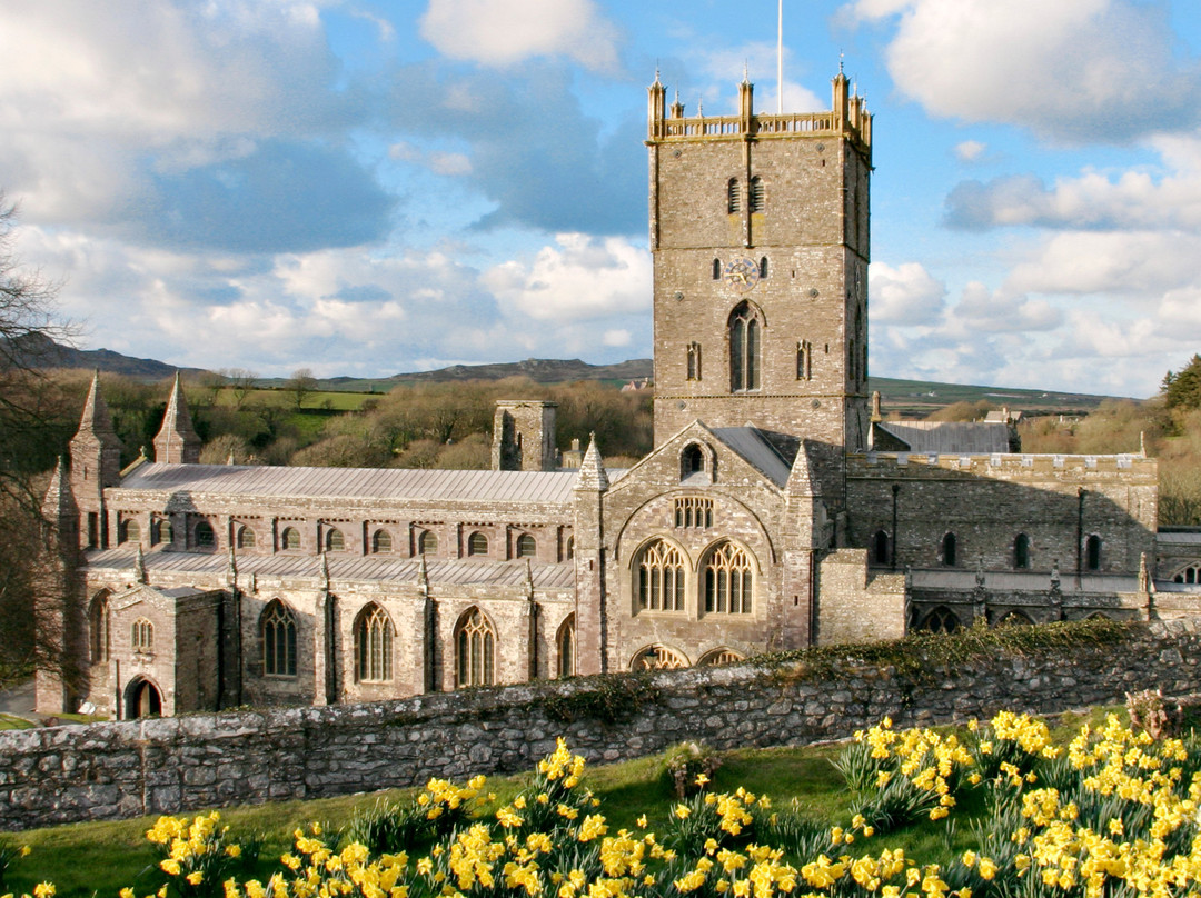 St Davids Walks景点图片