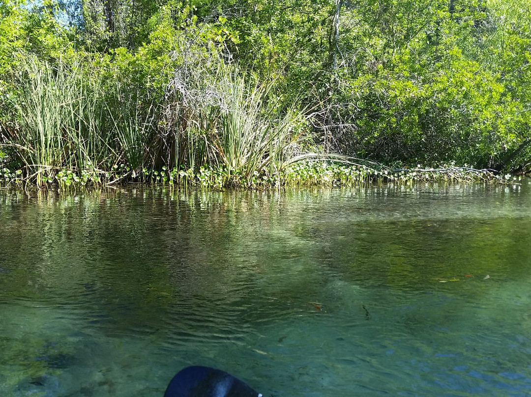 CHS Watersports-Weeki Wachee必去景点