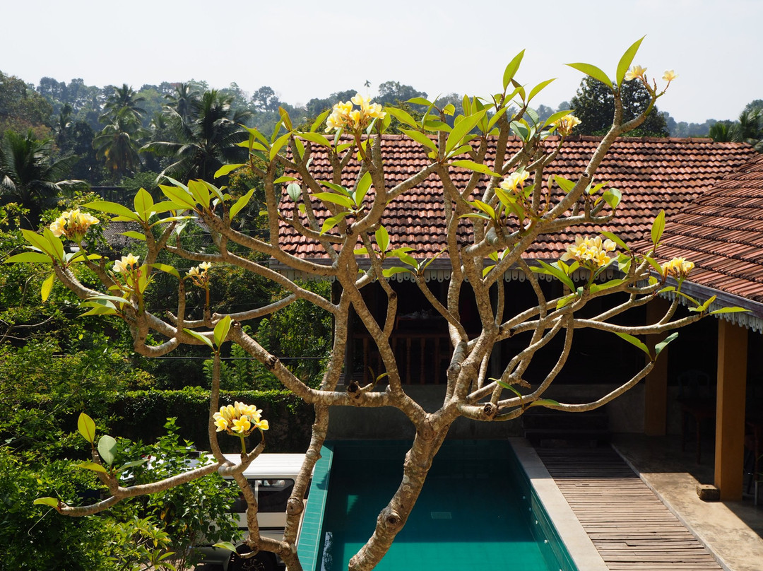 城市城堡民宿主图