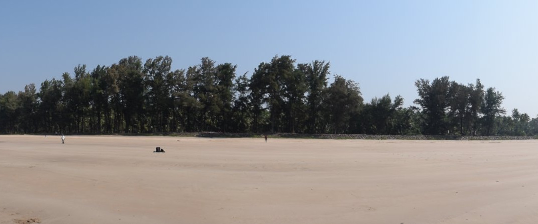 Mango Village Resort Guhagar主图