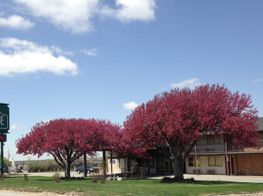 Home-Towne Lodge Omaha主图