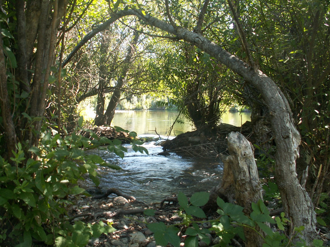 Old Bridge Rafting-Lewiston必去景点
