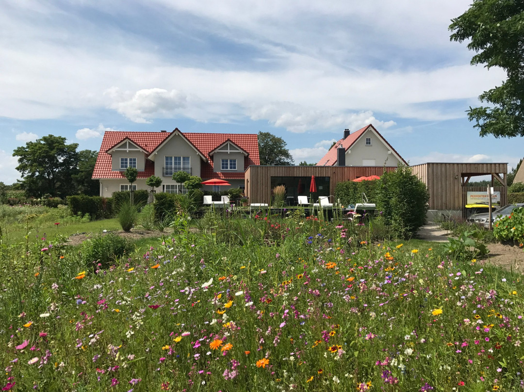 Landhaus Alwine主图