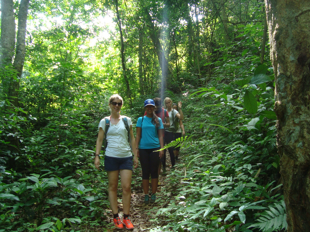 Trek Myanmar Tours-西保必去景点