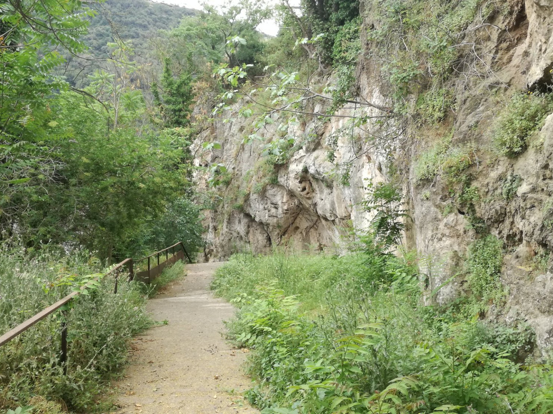 Capellades旅游攻略图片