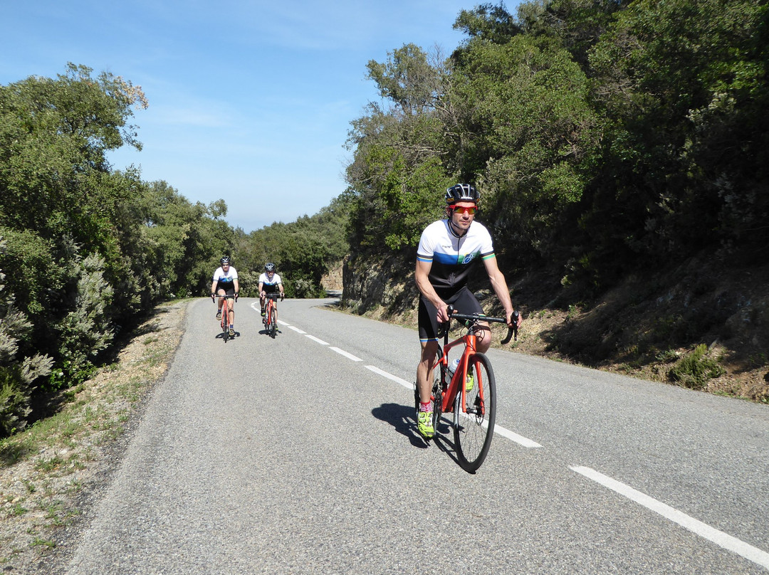 Cycle Tours Catalonia景点图片