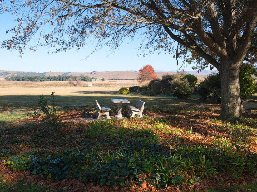 Moorcroft Manor Boutique Country Hotel主图