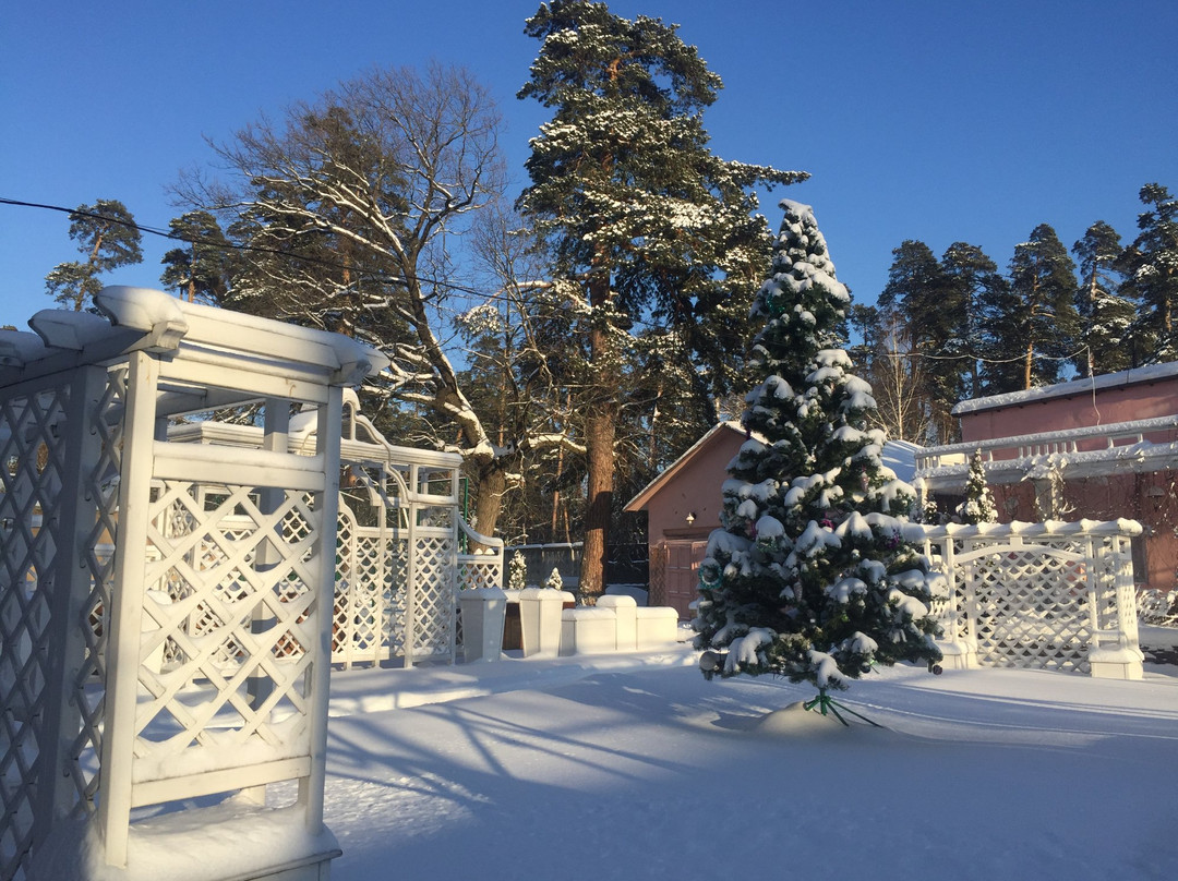 Borovnica Hotel主图