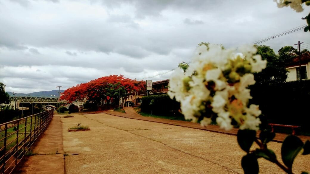 Sarzedo Station Culture Plataform-Sarzedo必去景点