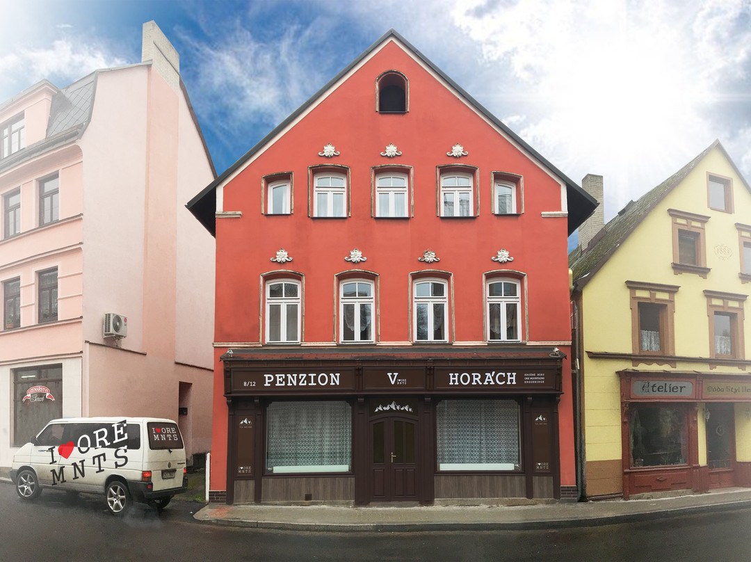 Penzion V Horach主图