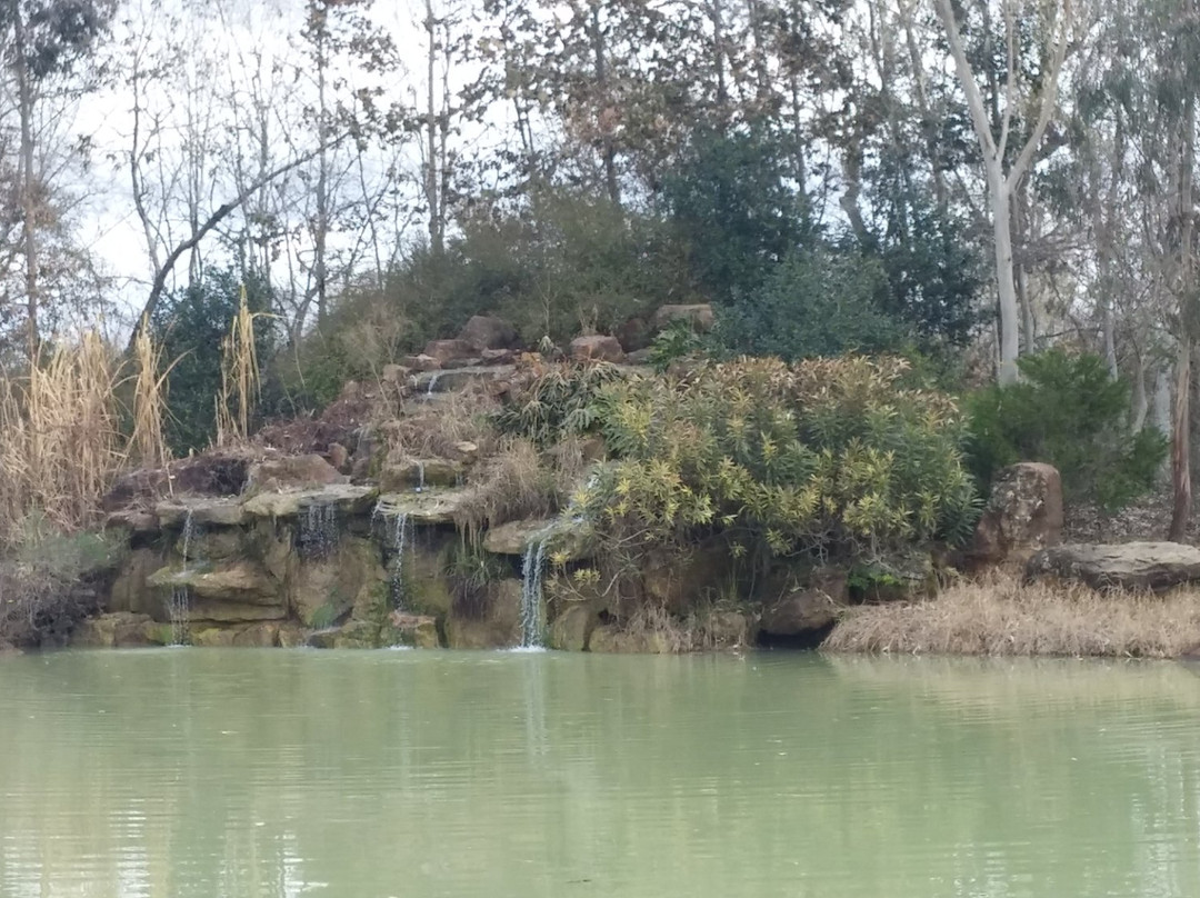 Beaumont Botanical Gardens-博蒙特必去景点