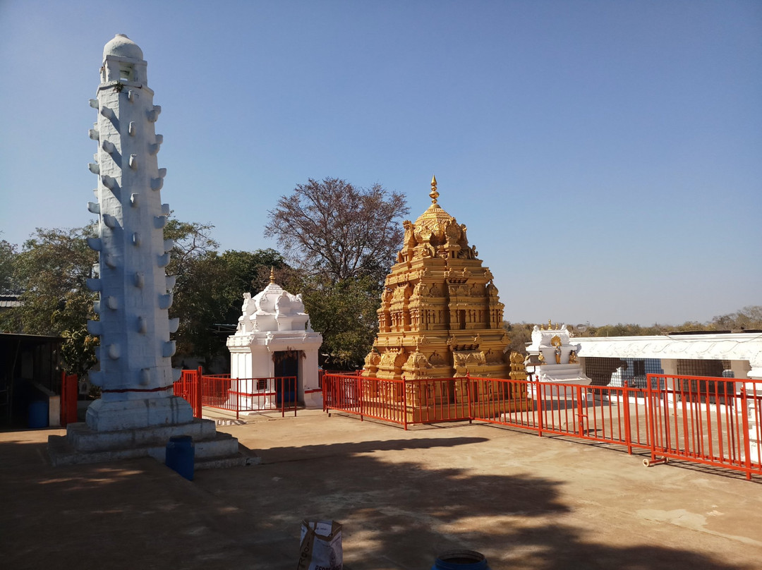 Sri Anantha Padmanabha Swamy devasthanam景点图片