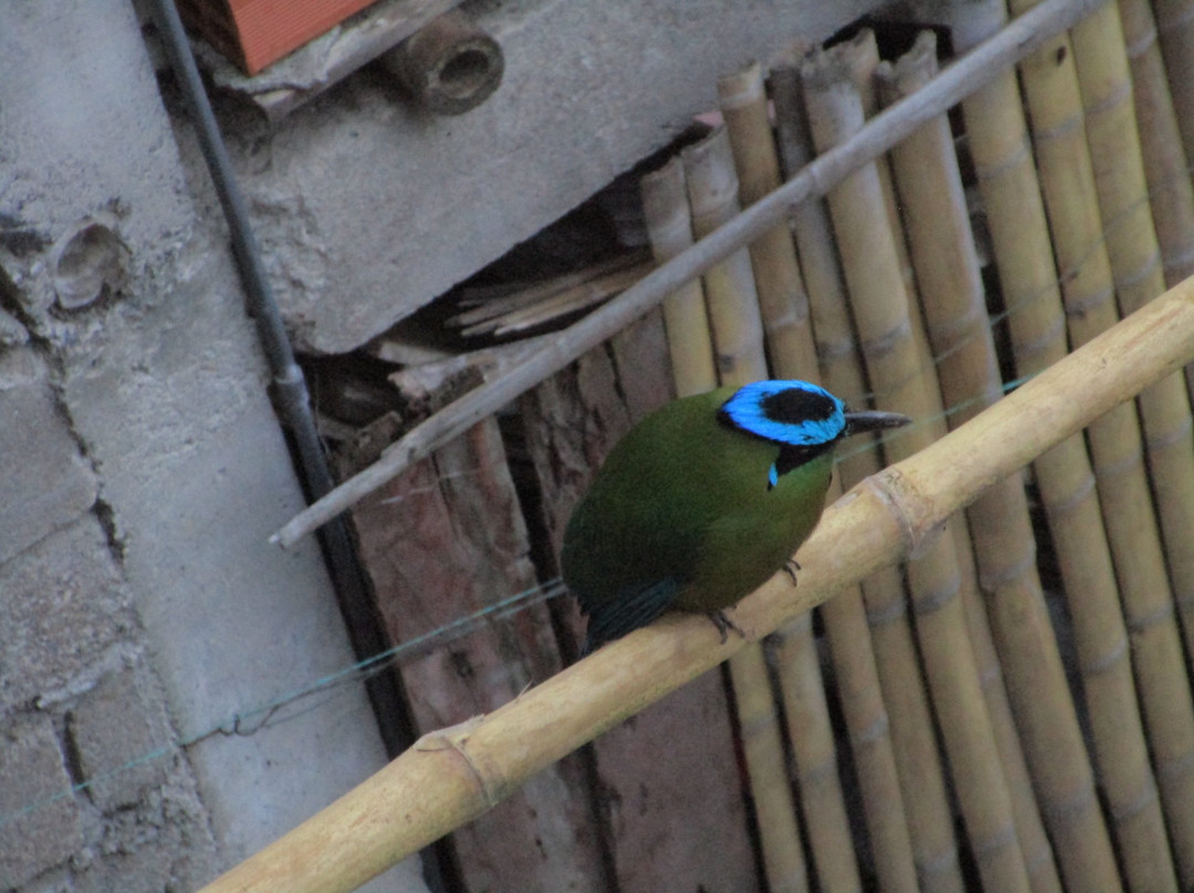 Hostal Buena Vista主图