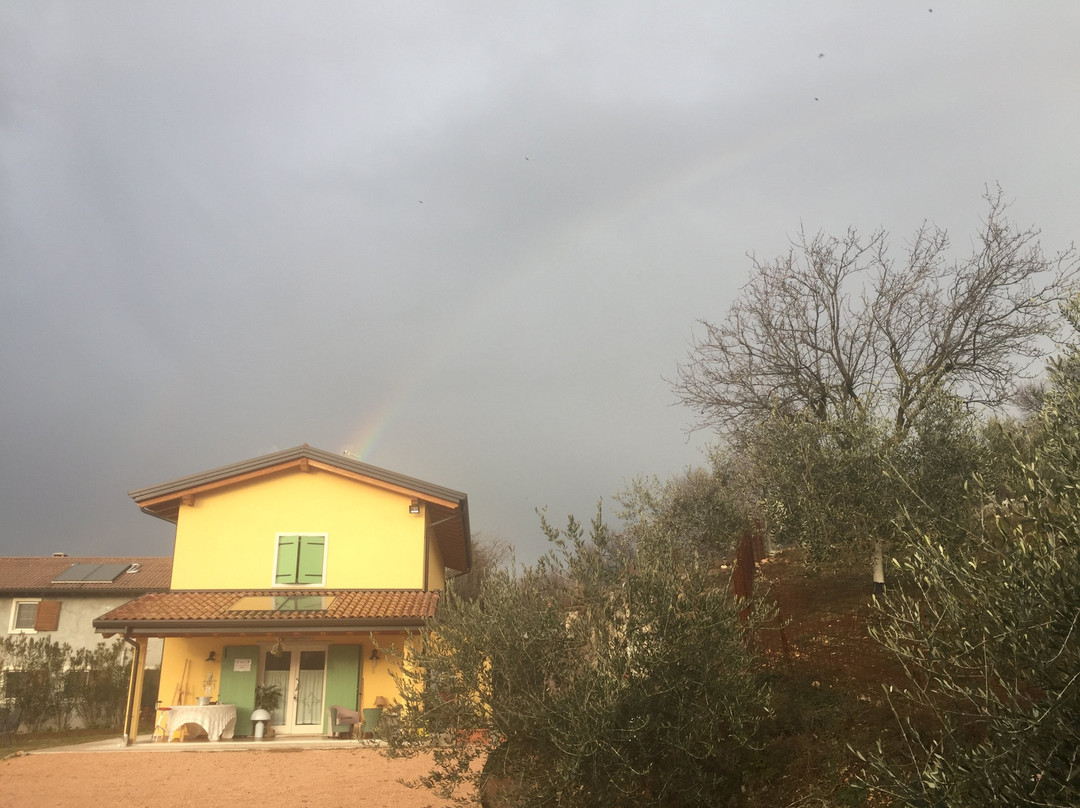 Agriturismo MaCoLe Fattoria主图