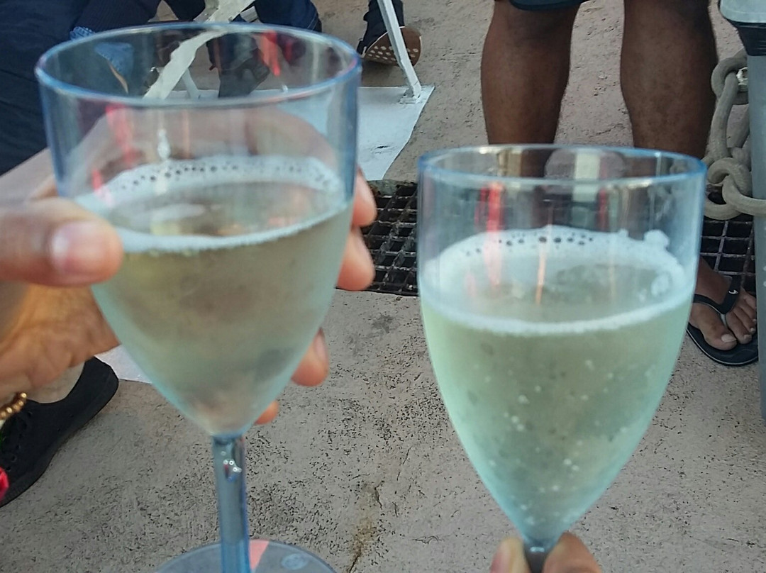 Waterfront Adventures-开普敦中心区必去景点