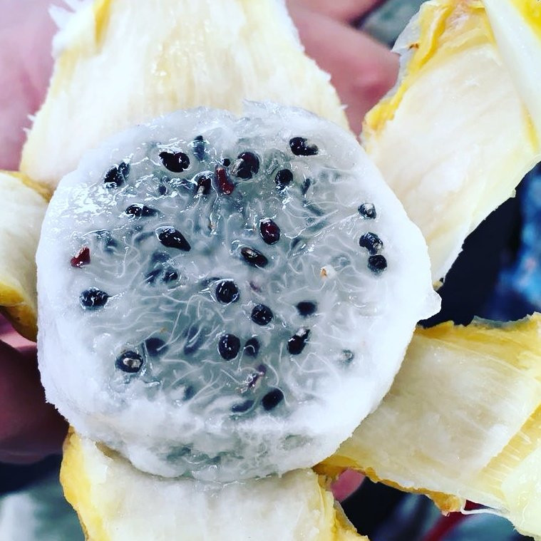 Chasing Plazas-波哥大必去景点