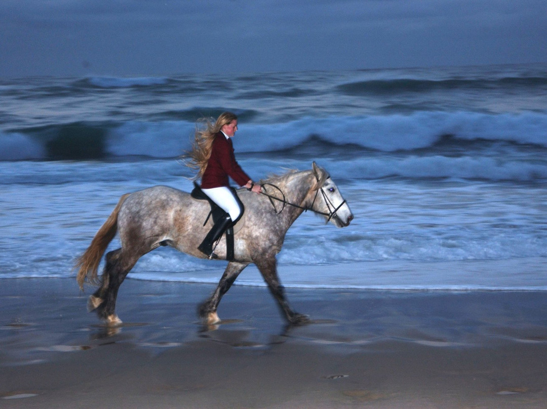 Selsdon Park Estate Beach Horse Rides-Marina Beach必去景点