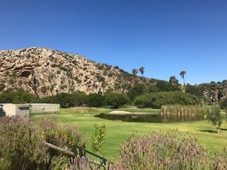 Montagu Vines Guesthouse主图