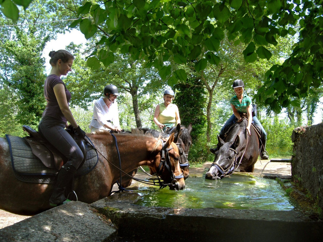 Prategiano - Horse Riding Holiday Tuscany景点图片