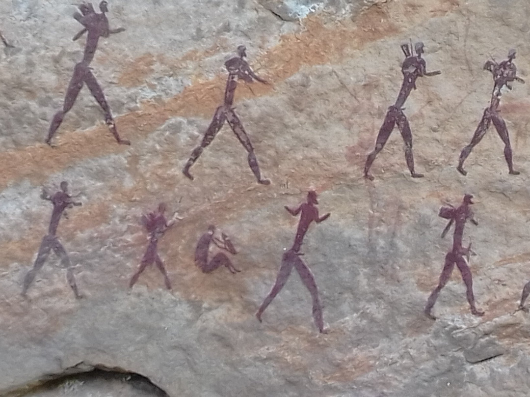 Drakensberg Nature Tours-安德堡必去景点