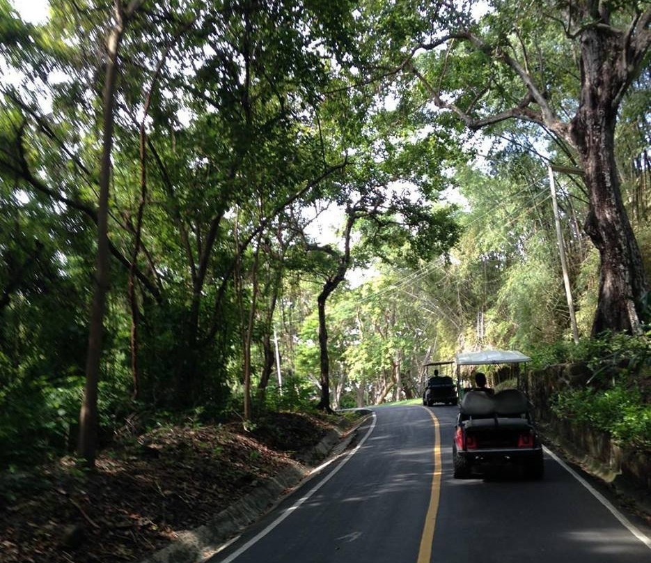 Contadora Welcome Center景点图片