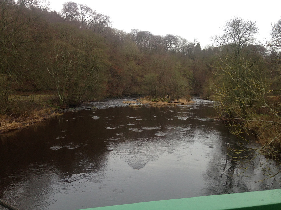 Almondell & Calderwood Country Park-Broxburn必去景点