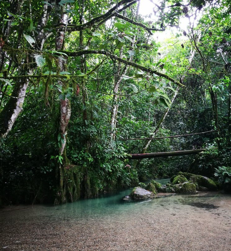 Cueva de Palestina-Nueva Cajamarca必去景点