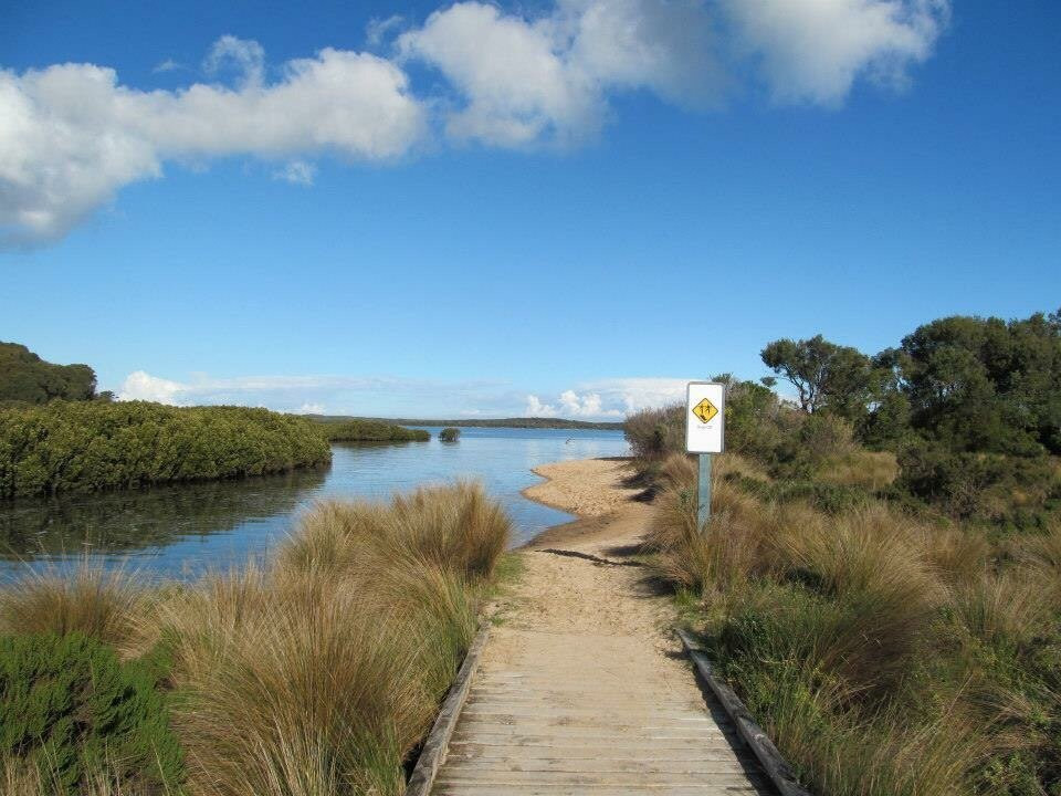 Screw Creek Townsend Bluff Estuary Walk-Inverloch必去景点
