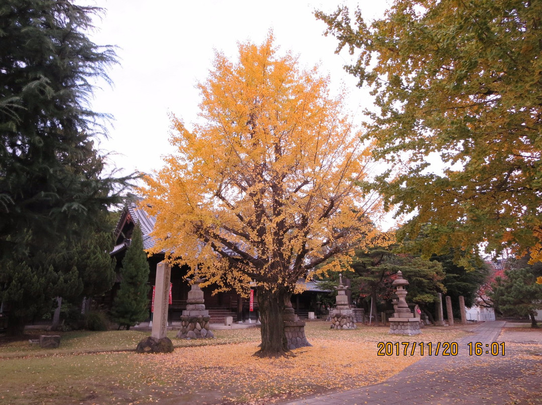 Jizo-ji Temple-一宫市必去景点