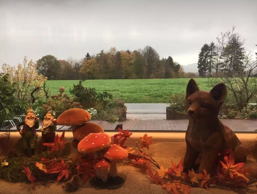 Cafe Sonnenschein & Pension主图