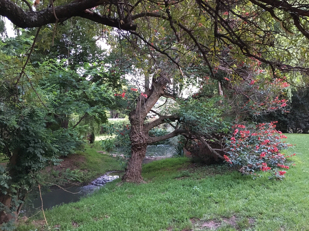 Rustika Guest Lodge主图