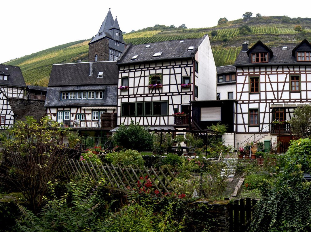 Zehnthaus (former Synagog)-巴哈拉赫必去景点