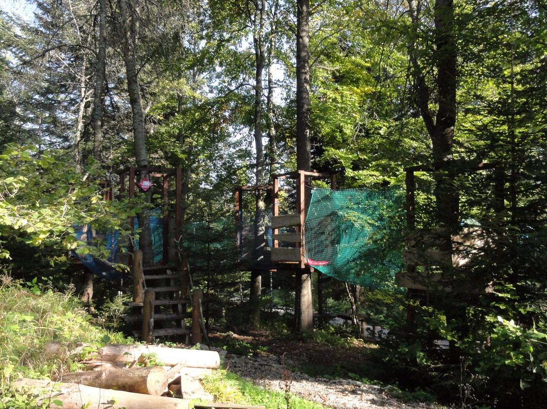Krynicki Park Linowy景点图片